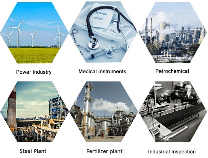 Air Flowmeter, Gas, Fuel Gas, Nitrogen, Biogas, Gas, Plug-in and Thermal Gas Mass Flowmeter