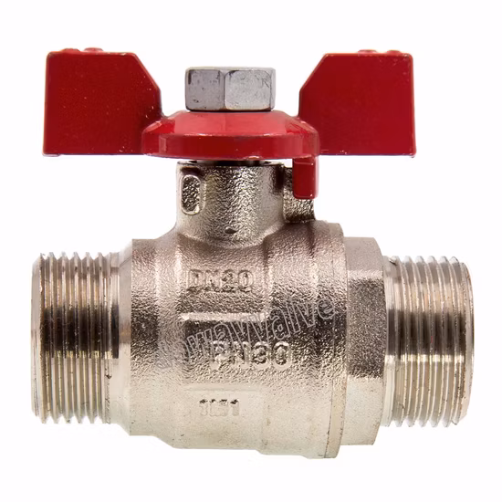OEM/ODM forjou porta completa NPT 600wog 1/2